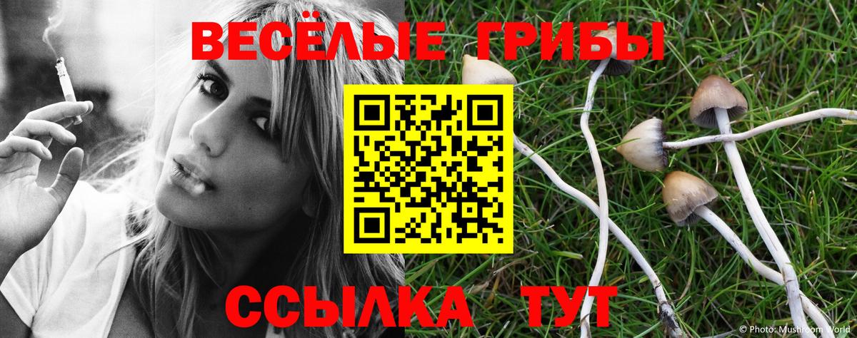 Псилоцибиновые грибы MAGIC MUSHROOMS  Вход с VPN  продажа наркотиков  Бутурлиновка  Псилоцибиновые грибы ЛСД 